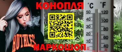 крисы Краснознаменск
