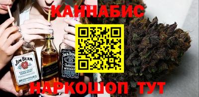 крисы Краснознаменск