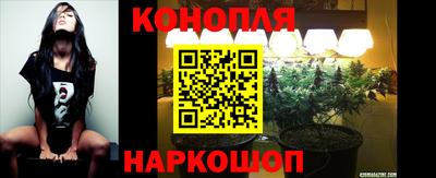 крисы Краснознаменск