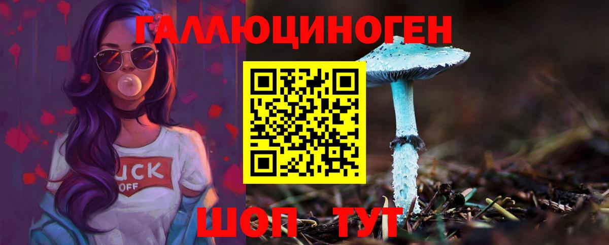 Псилоцибиновые грибы Psilocybine cubensis  Вход с VPN  Заводоуковск 