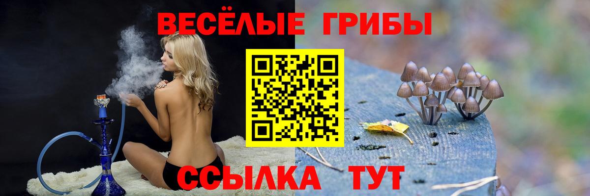 Галлюциногенные грибы ЛСД Заводоуковск